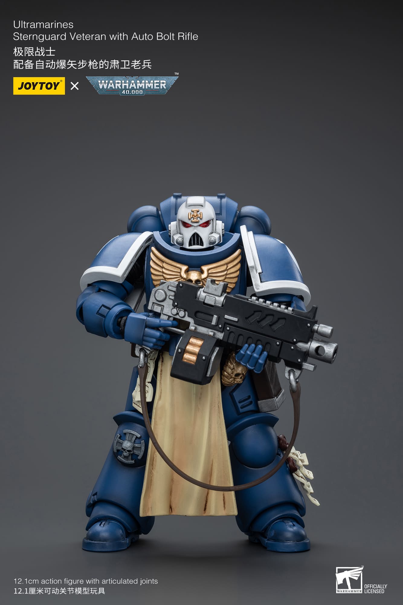 Ultramarines
Sternguard Veteran with Auto Bolt Rifle