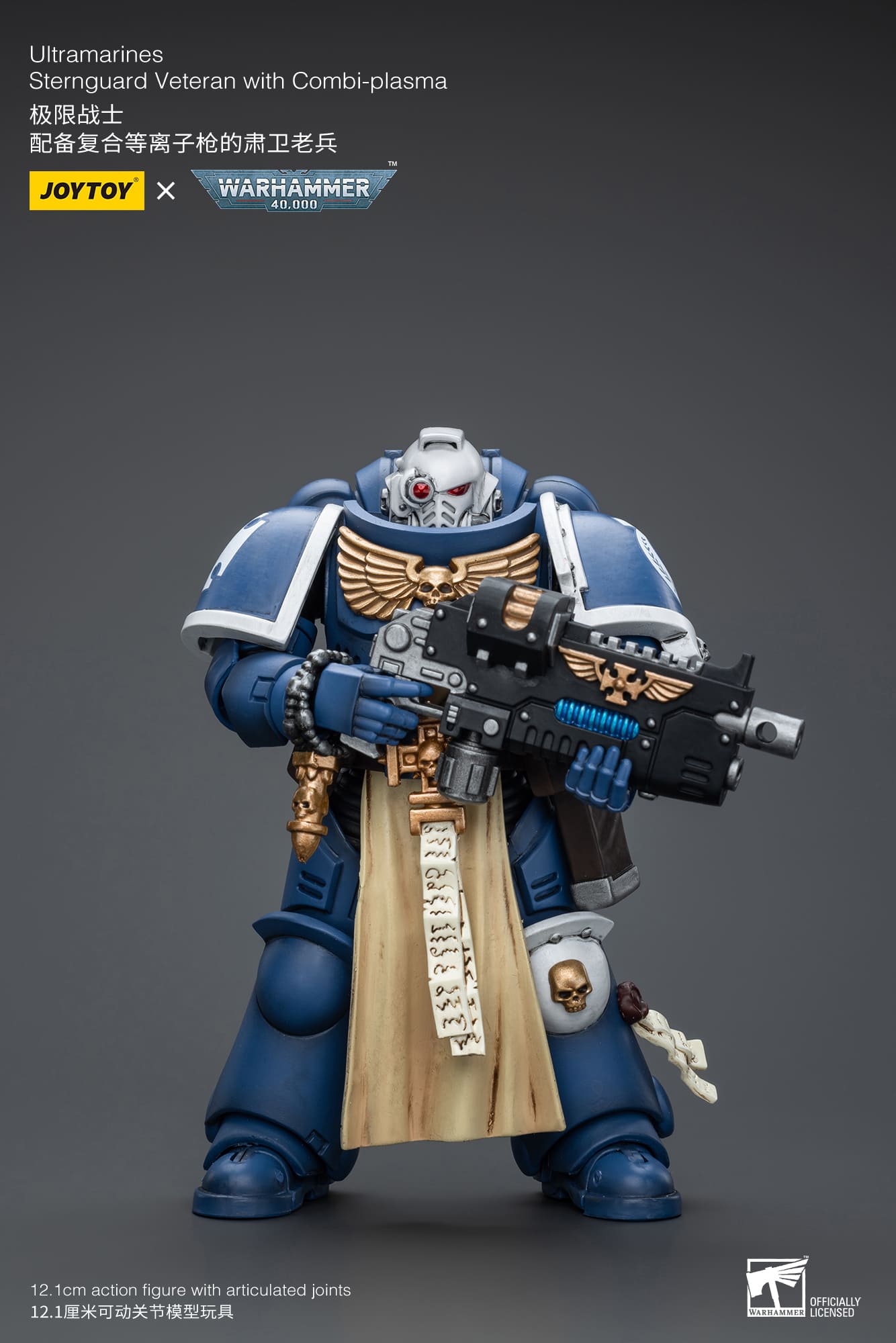 UltramarineS
Sternguard Veteran with Combi-Plasma