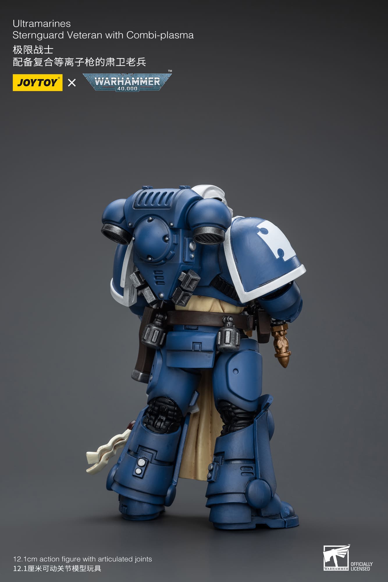 UltramarineS
Sternguard Veteran with Combi-Plasma