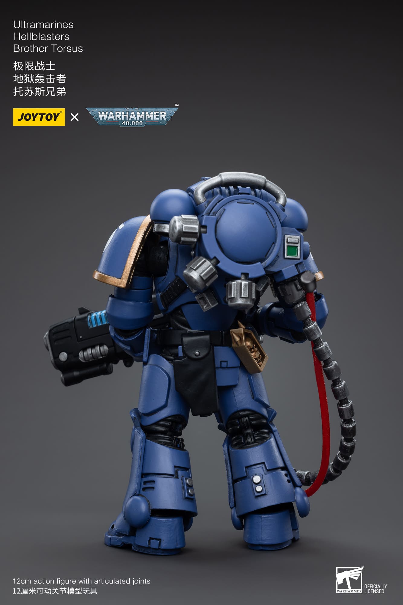 Ultramarines
Hellblasters
Brother Torsus