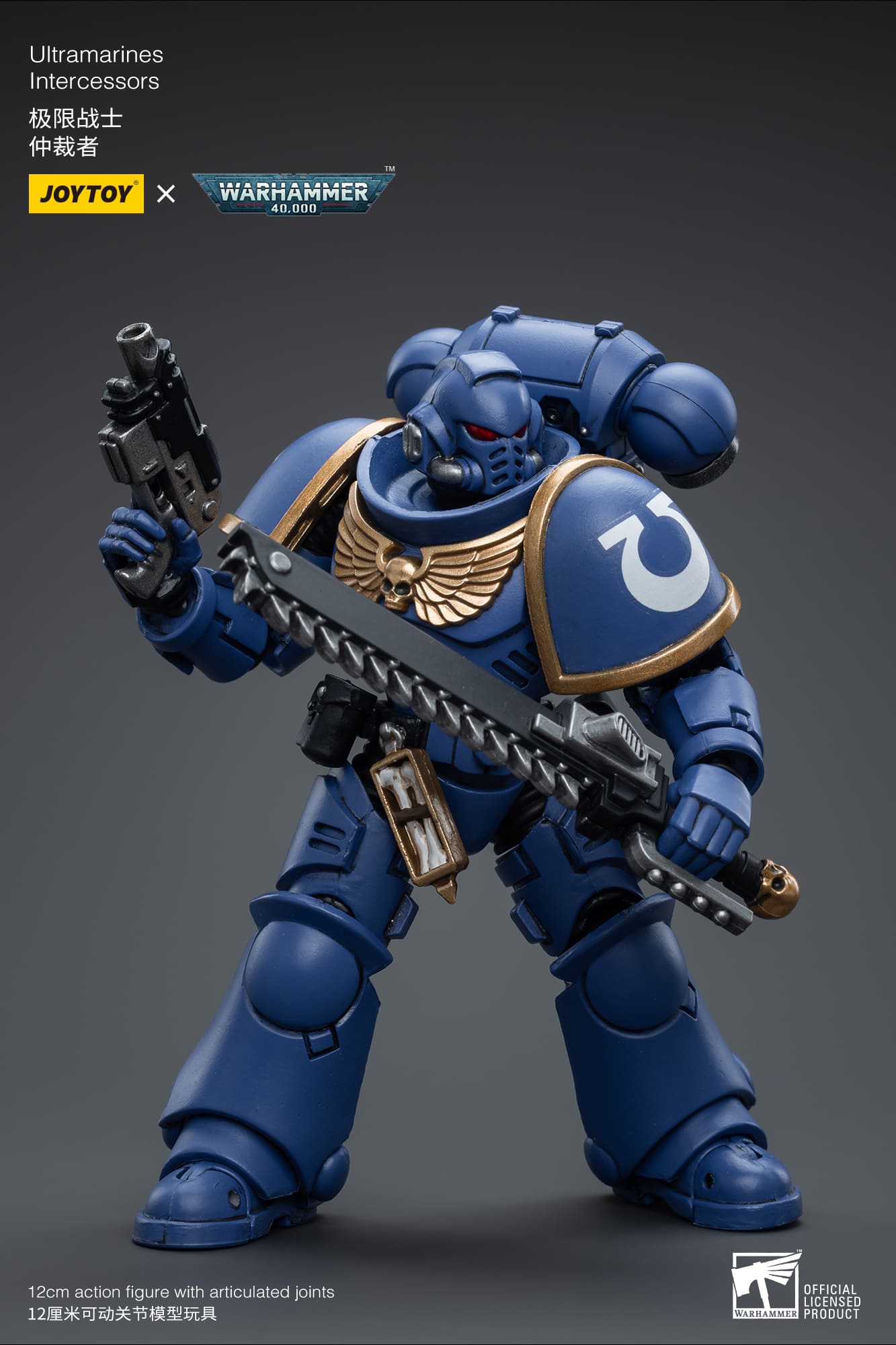 Ultramarines
Intercessors