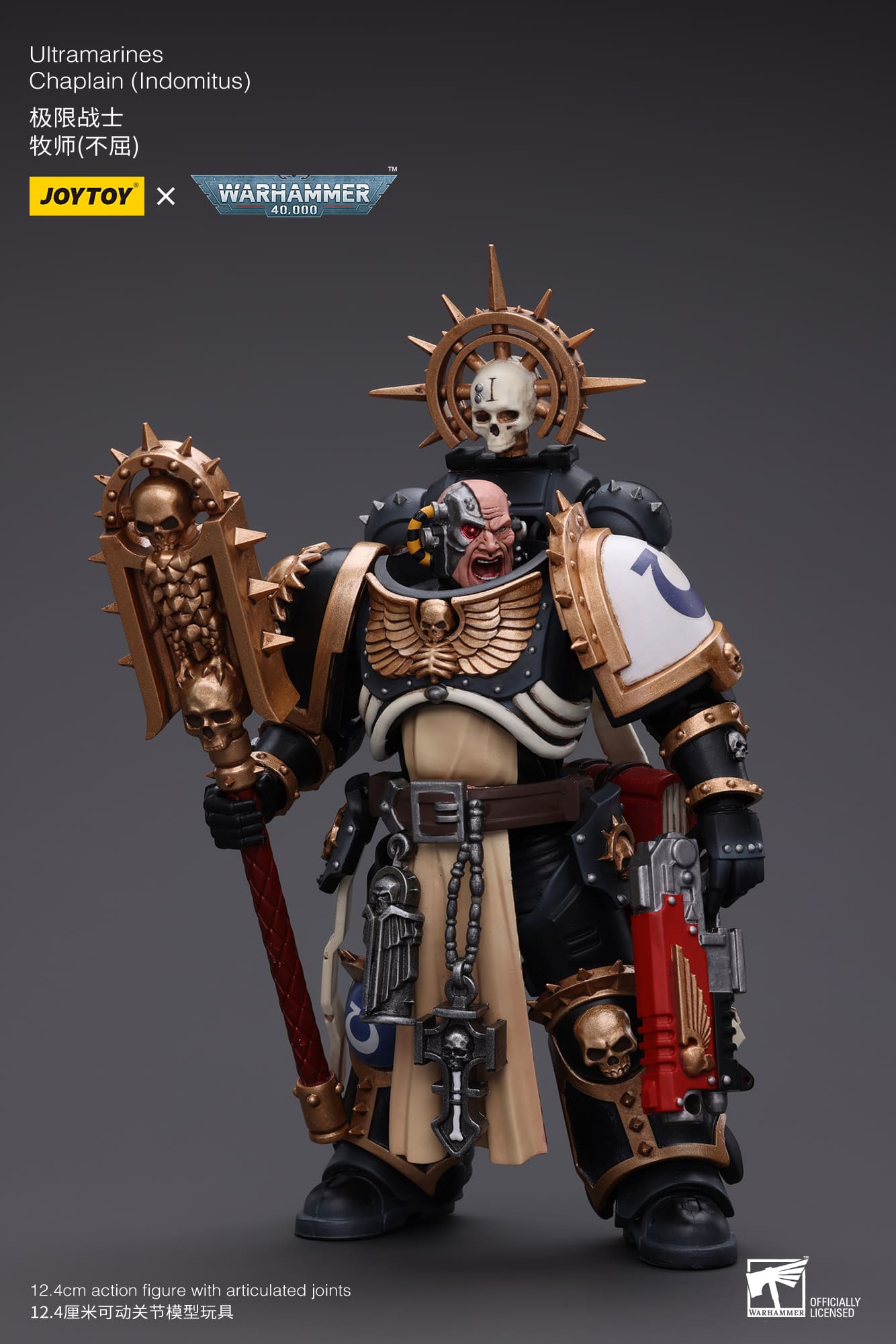 Ultramarines
Chaplain(Indomitus)