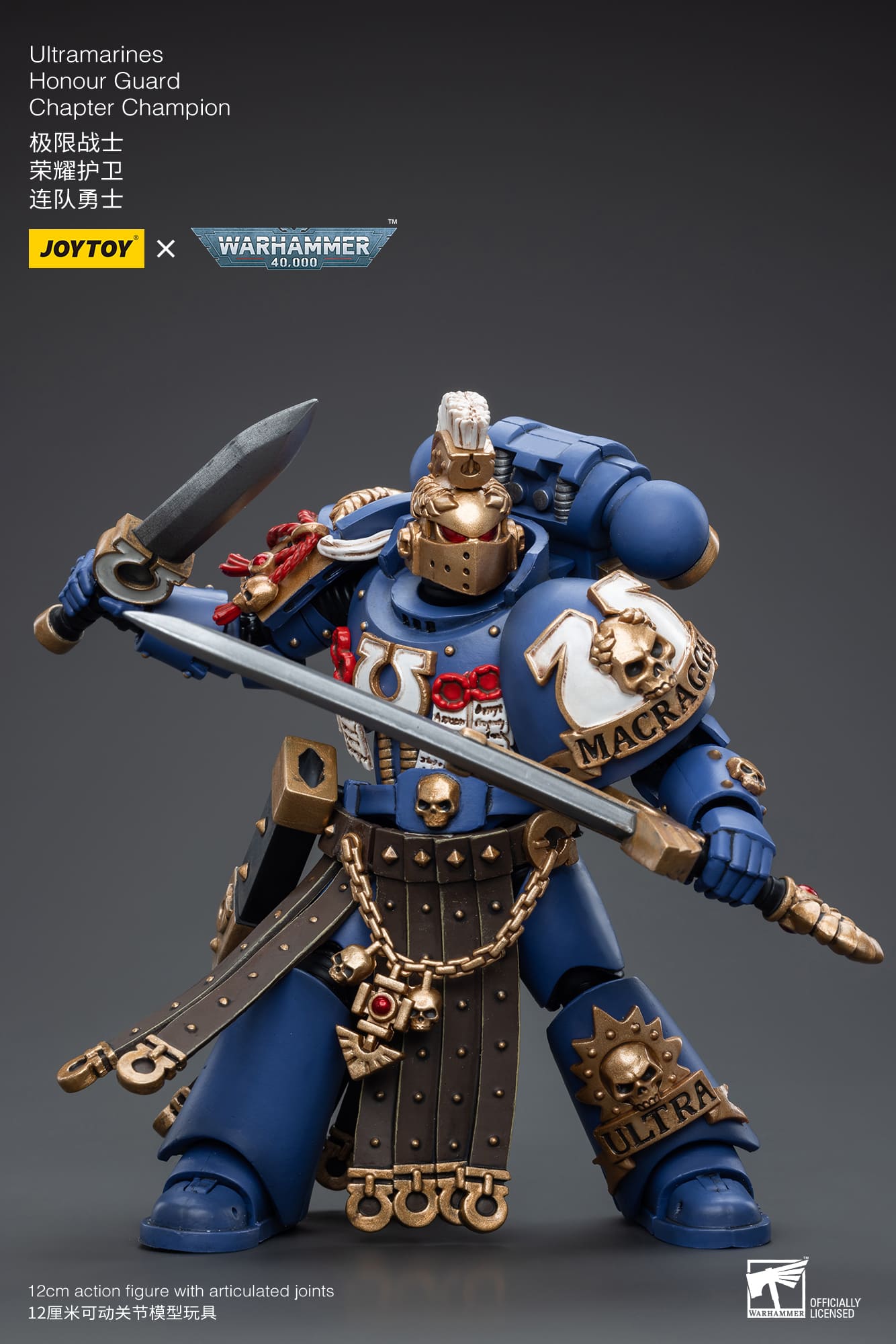 Ultramarines
Honour Guard
Chapter Champion