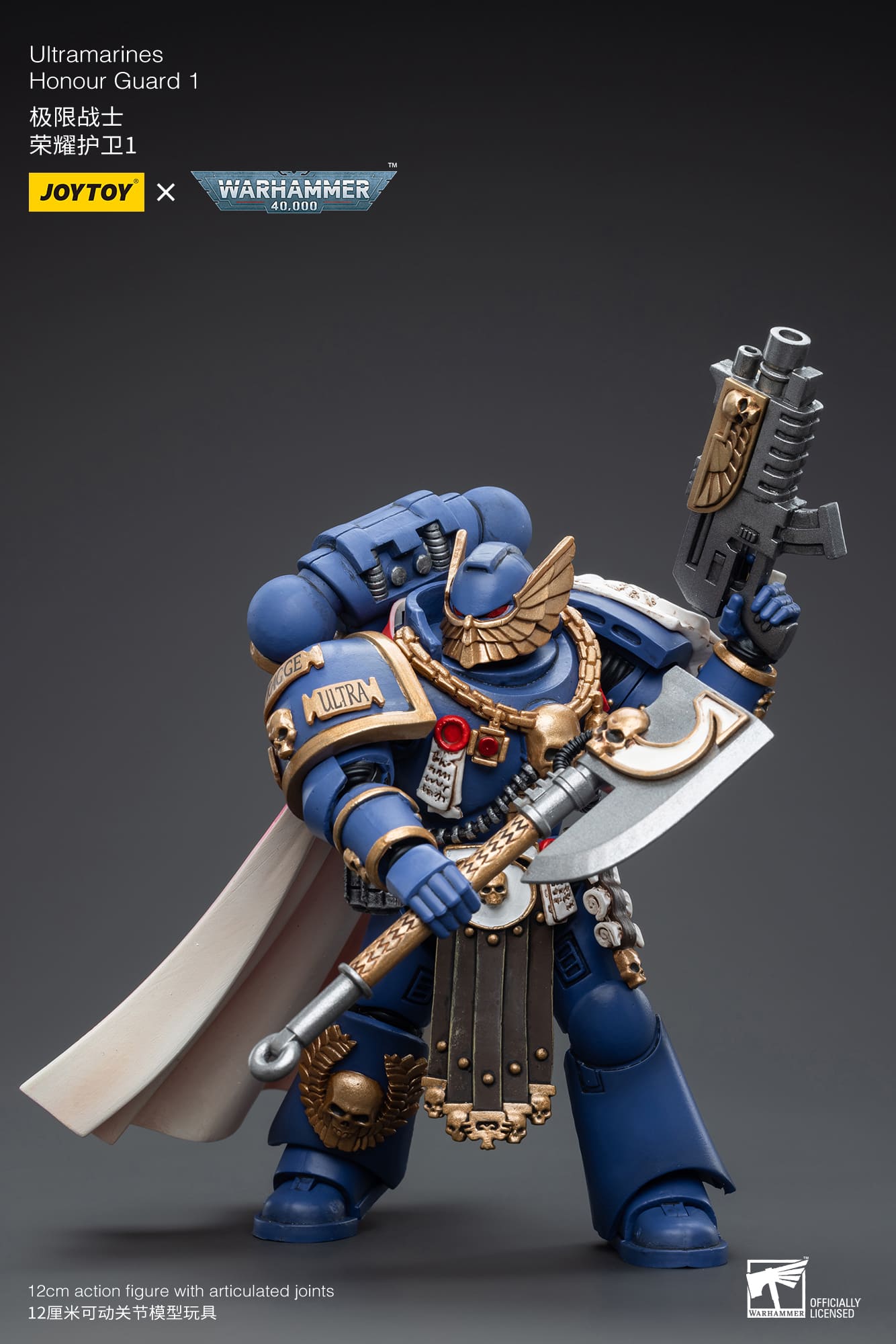 Ultramarines
Honour Guard  1