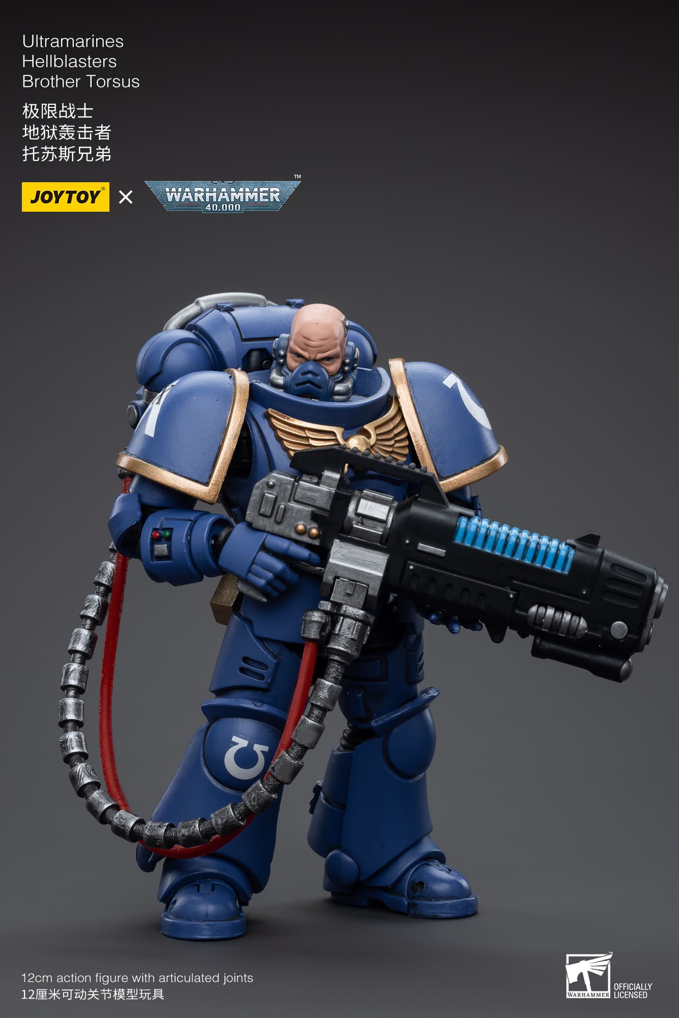 Ultramarines
Hellblasters
Brother Torsus