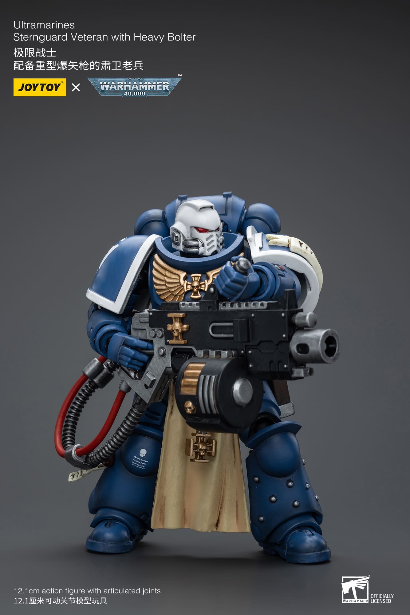 Ultramarines
Sternguard Veteran with Heavy Bolter