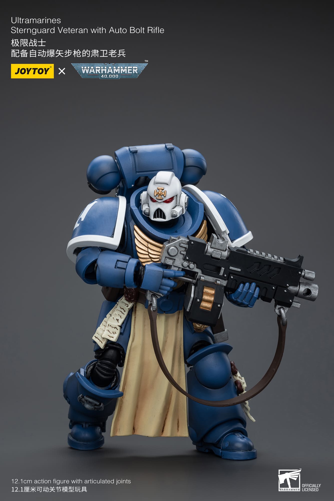 Ultramarines
Sternguard Veteran with Auto Bolt Rifle