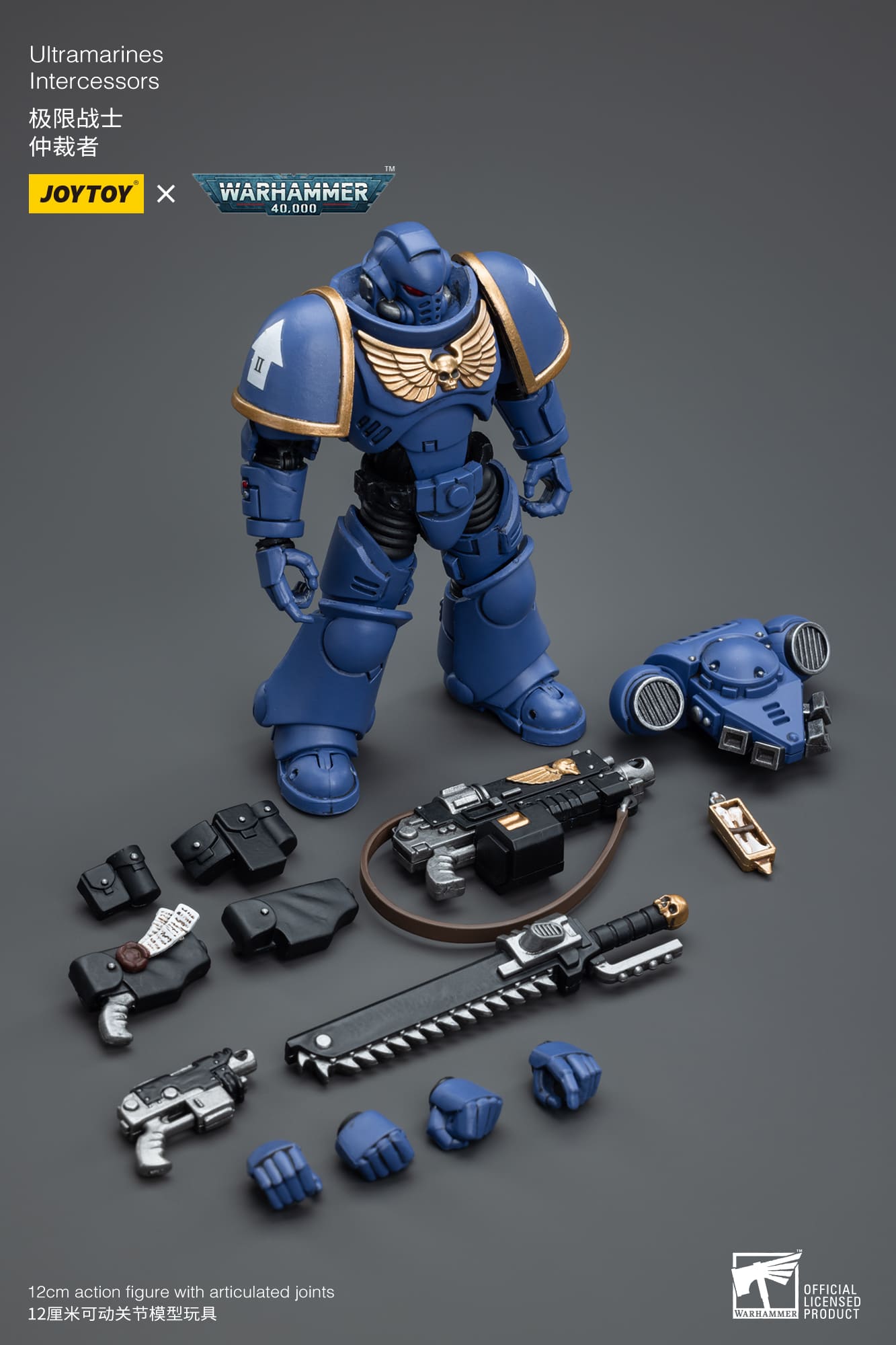 Ultramarines
Intercessors