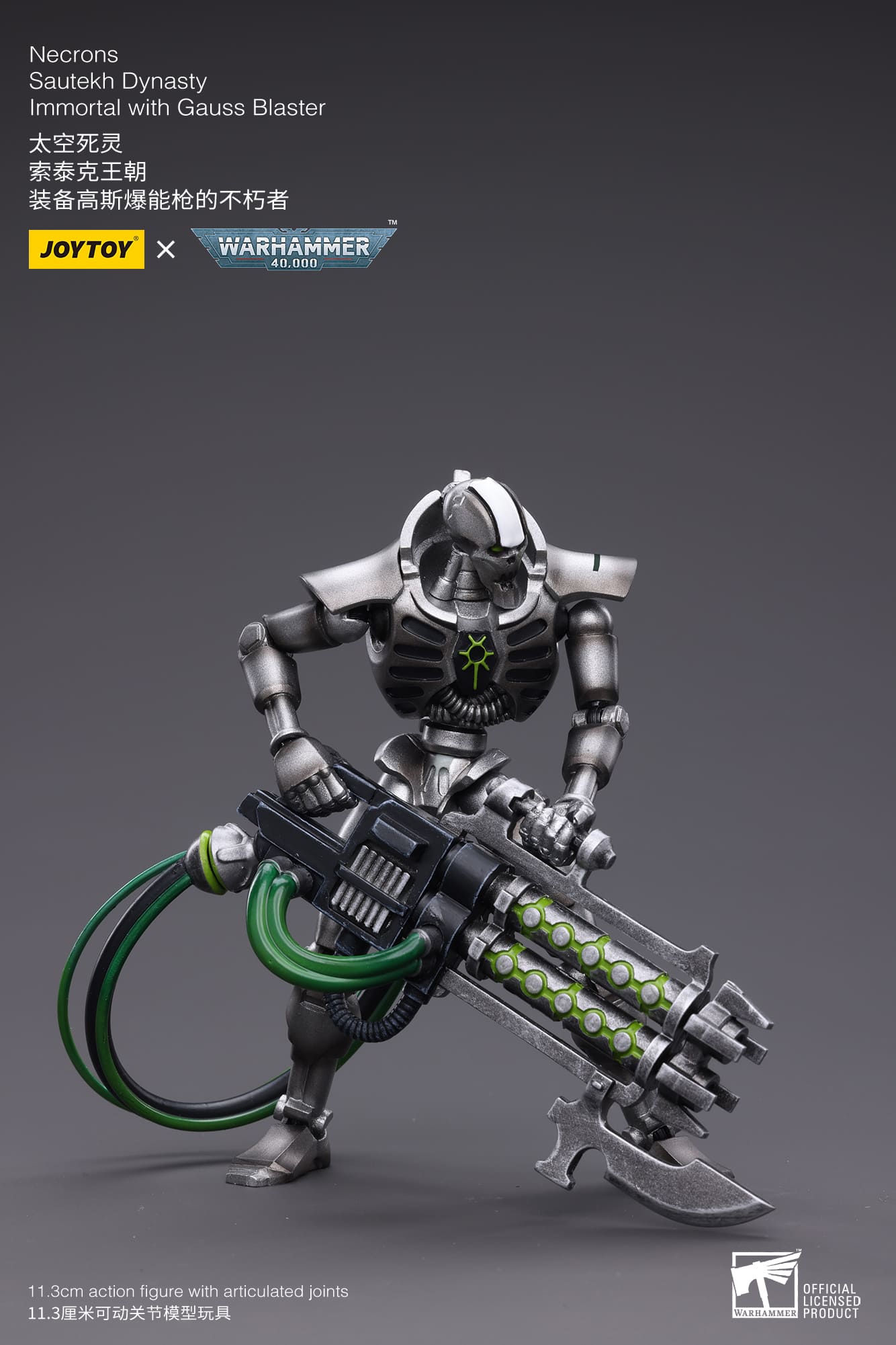 WH40K-Necrons Sautekh Dynasty
Immortal with Gauss Blaster