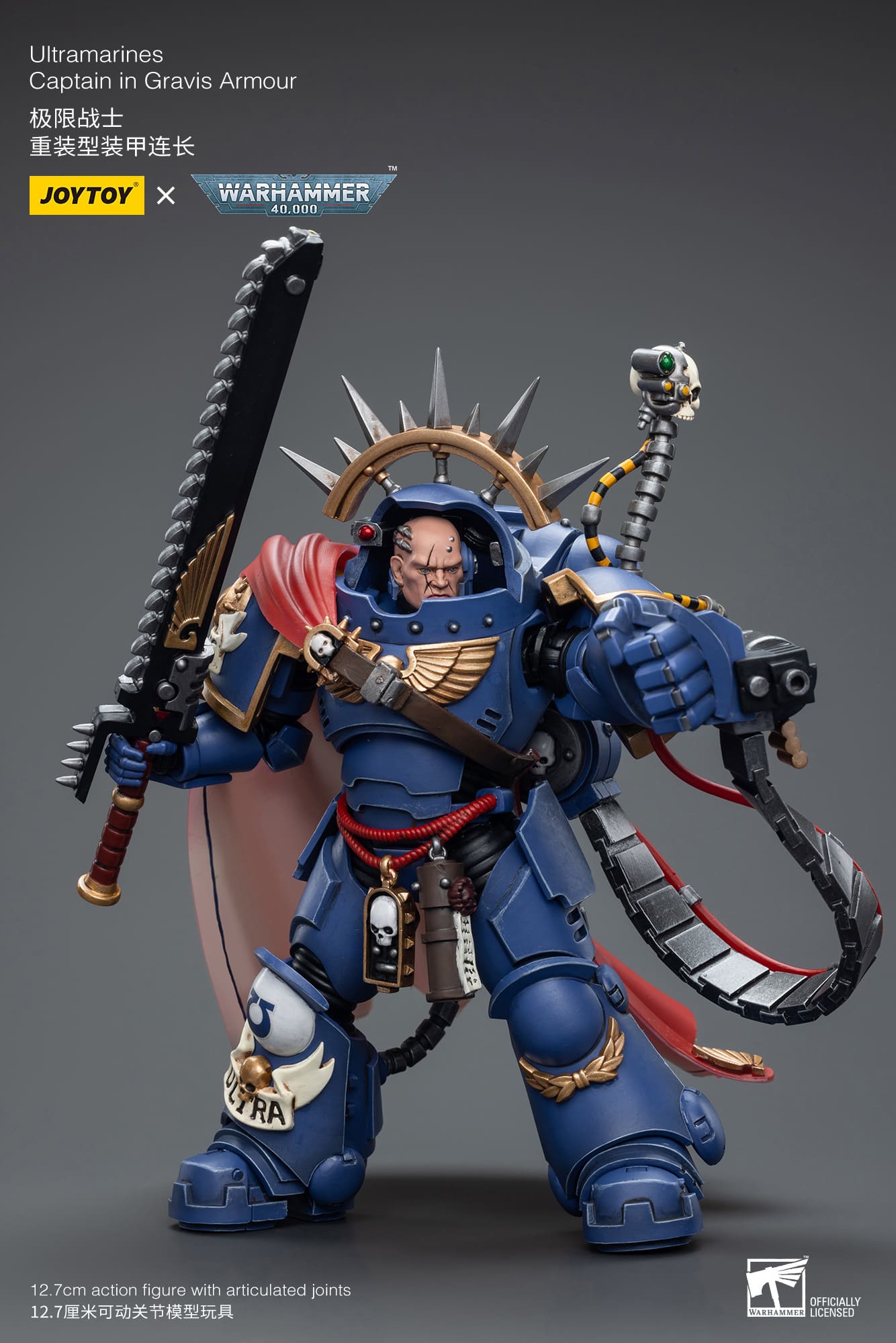 Ultramarines
Captain in Gravis Armour