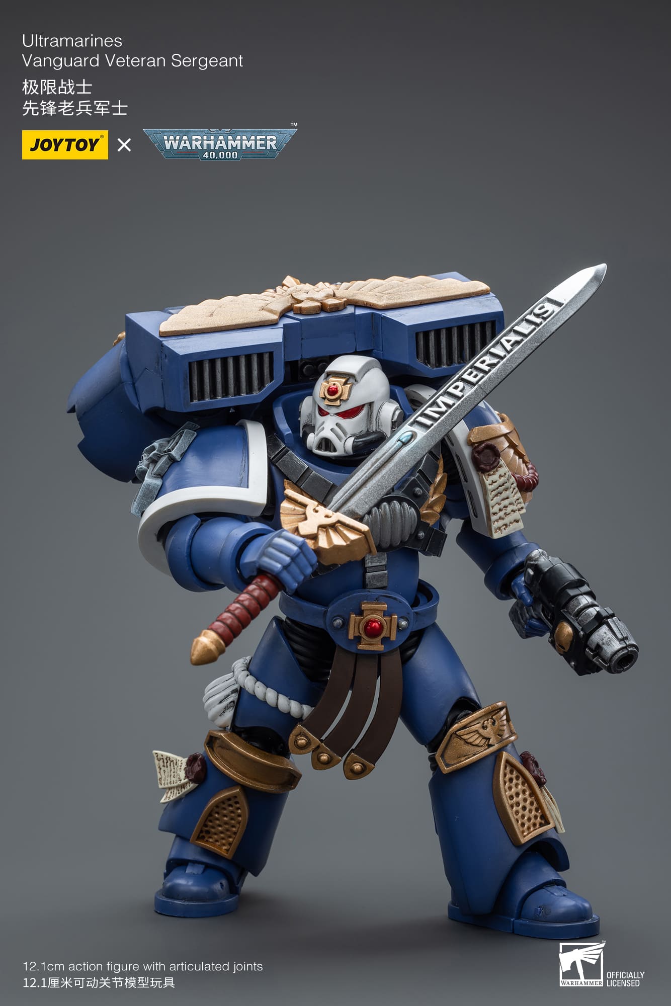 Ultramarines
Vanguard Veteran Sergeant