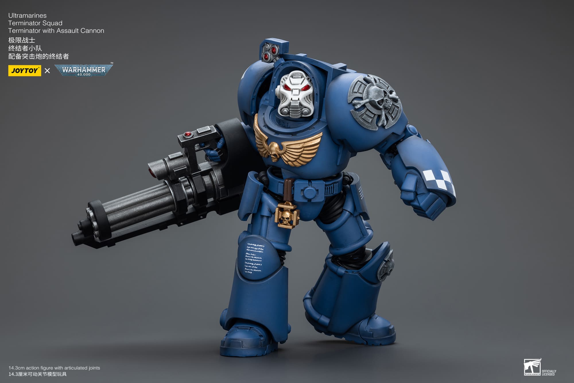 Ultramarines
Terminator Squad
Terminator with Assault Cannon