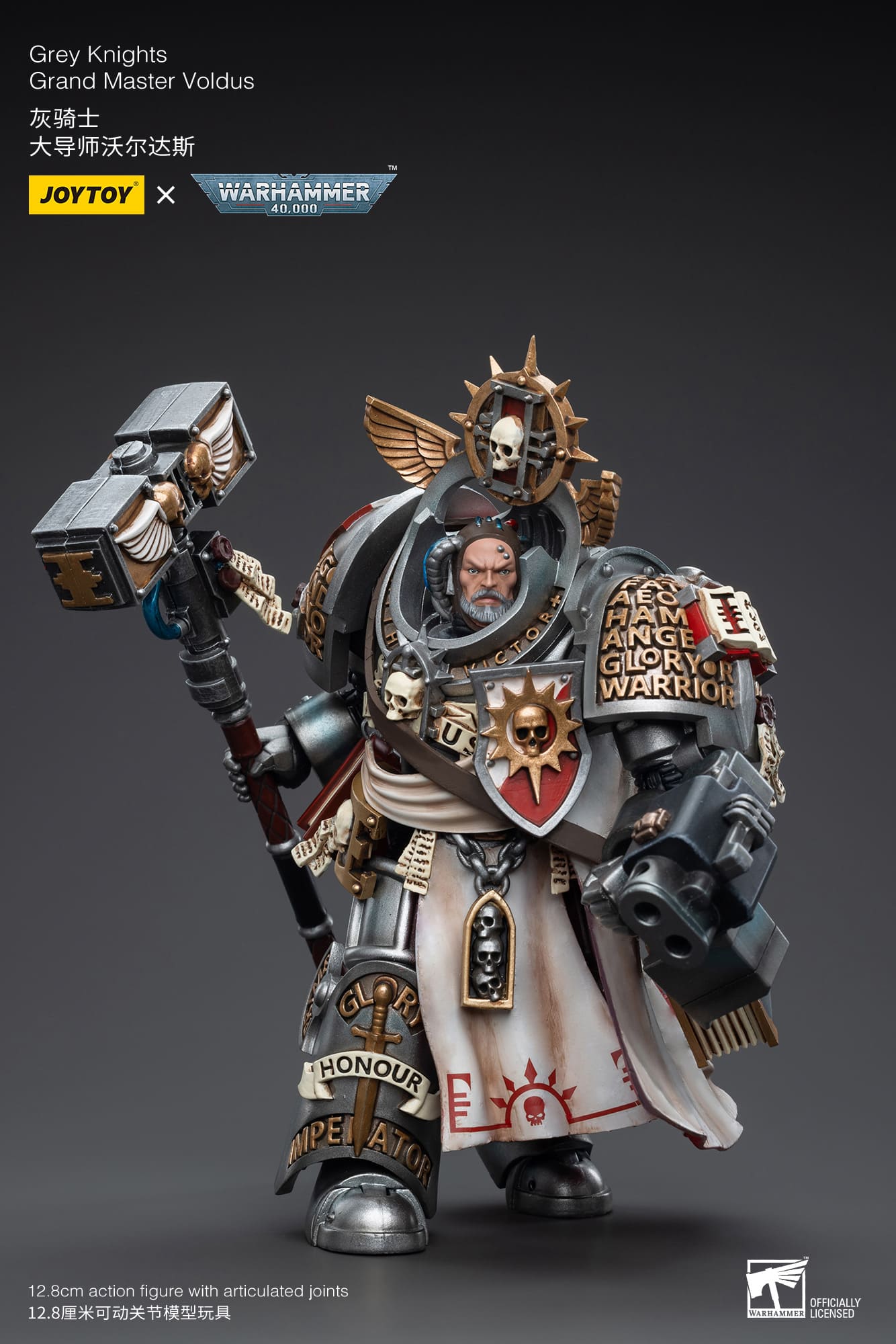 Grey Knights
Grand Master Voldus