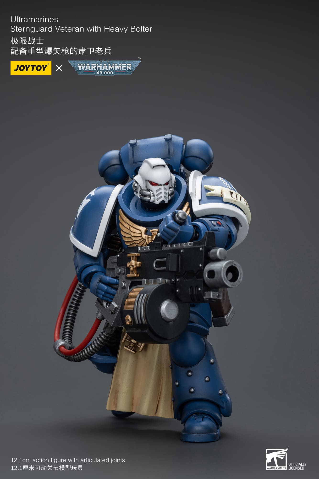 Ultramarines
Sternguard Veteran with Heavy Bolter