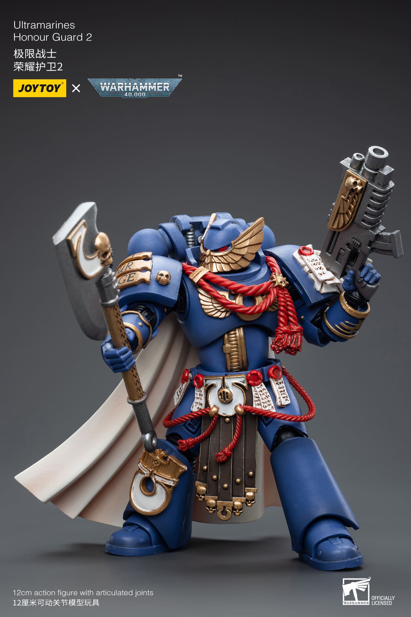 Ultramarines
Honour Guard  2