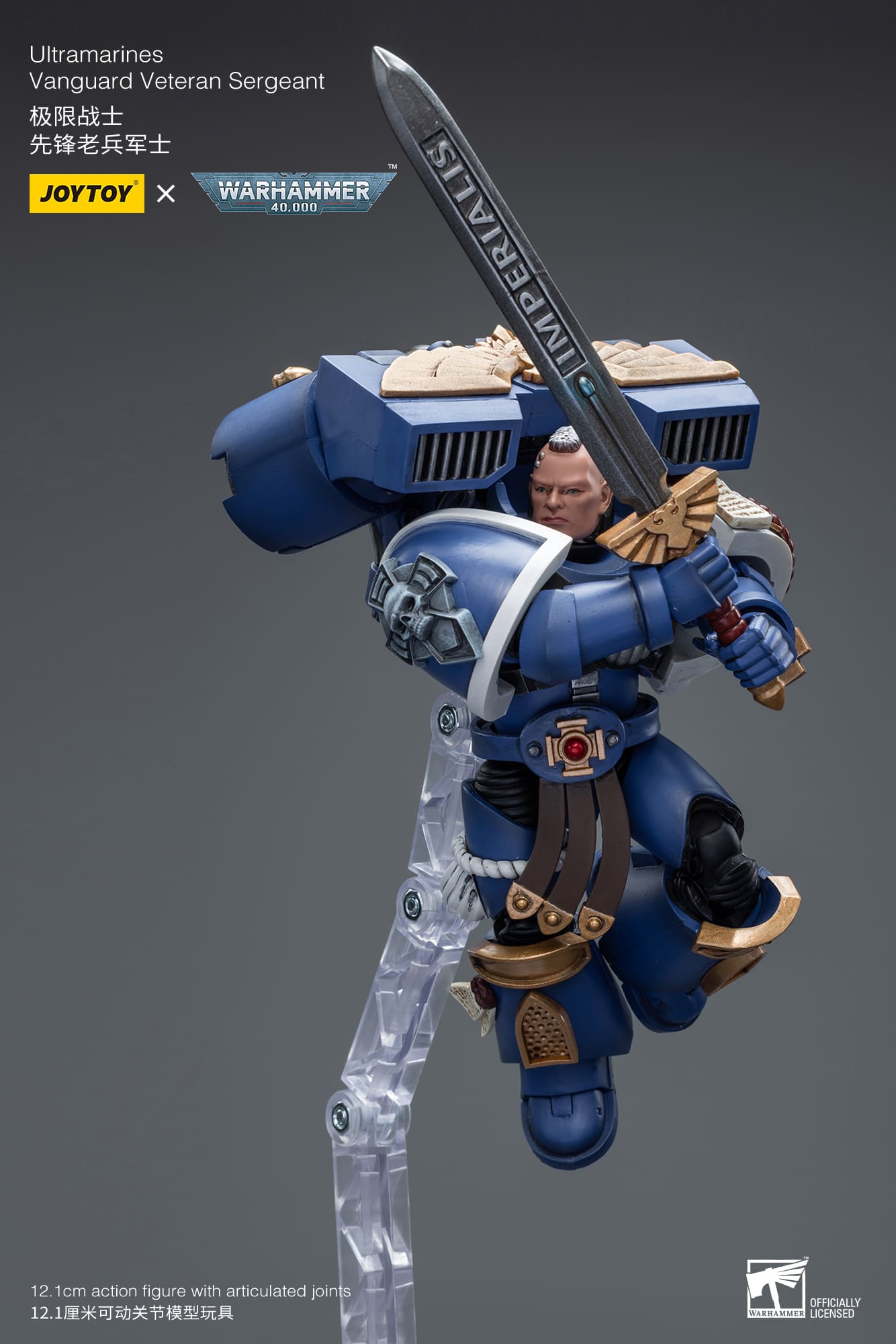 Ultramarines
Vanguard Veteran Sergeant