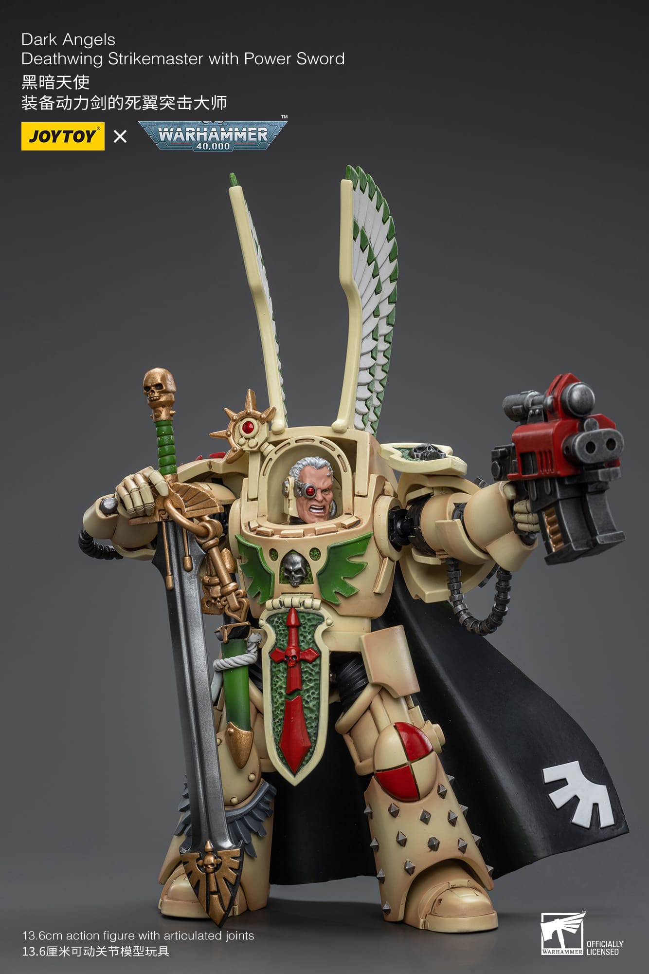 Dark Angels
Deathwing Strikemaster with Power Sword