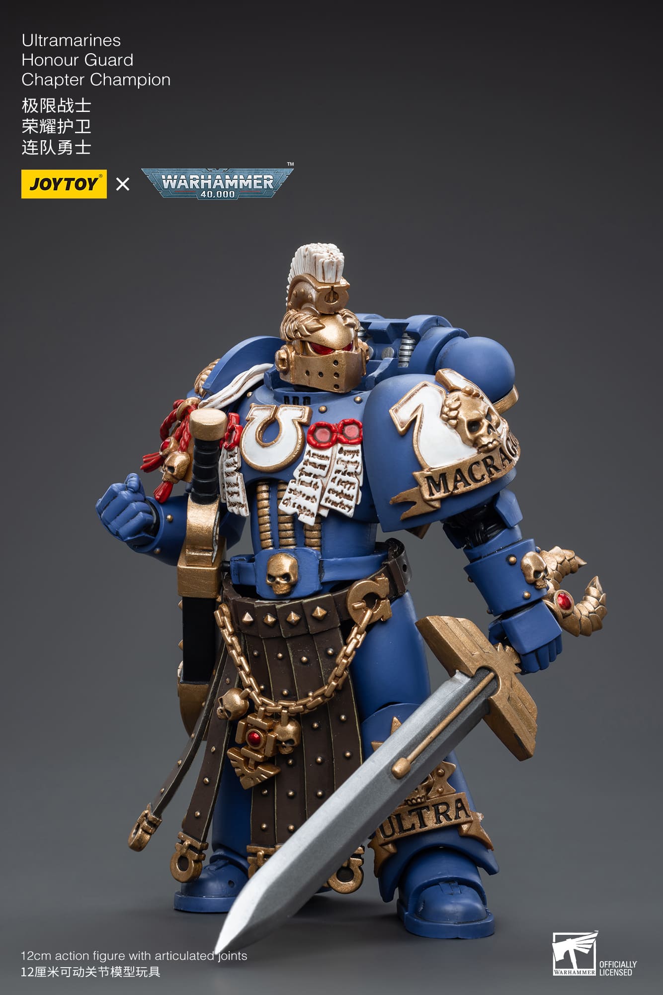 Ultramarines
Honour Guard
Chapter Champion