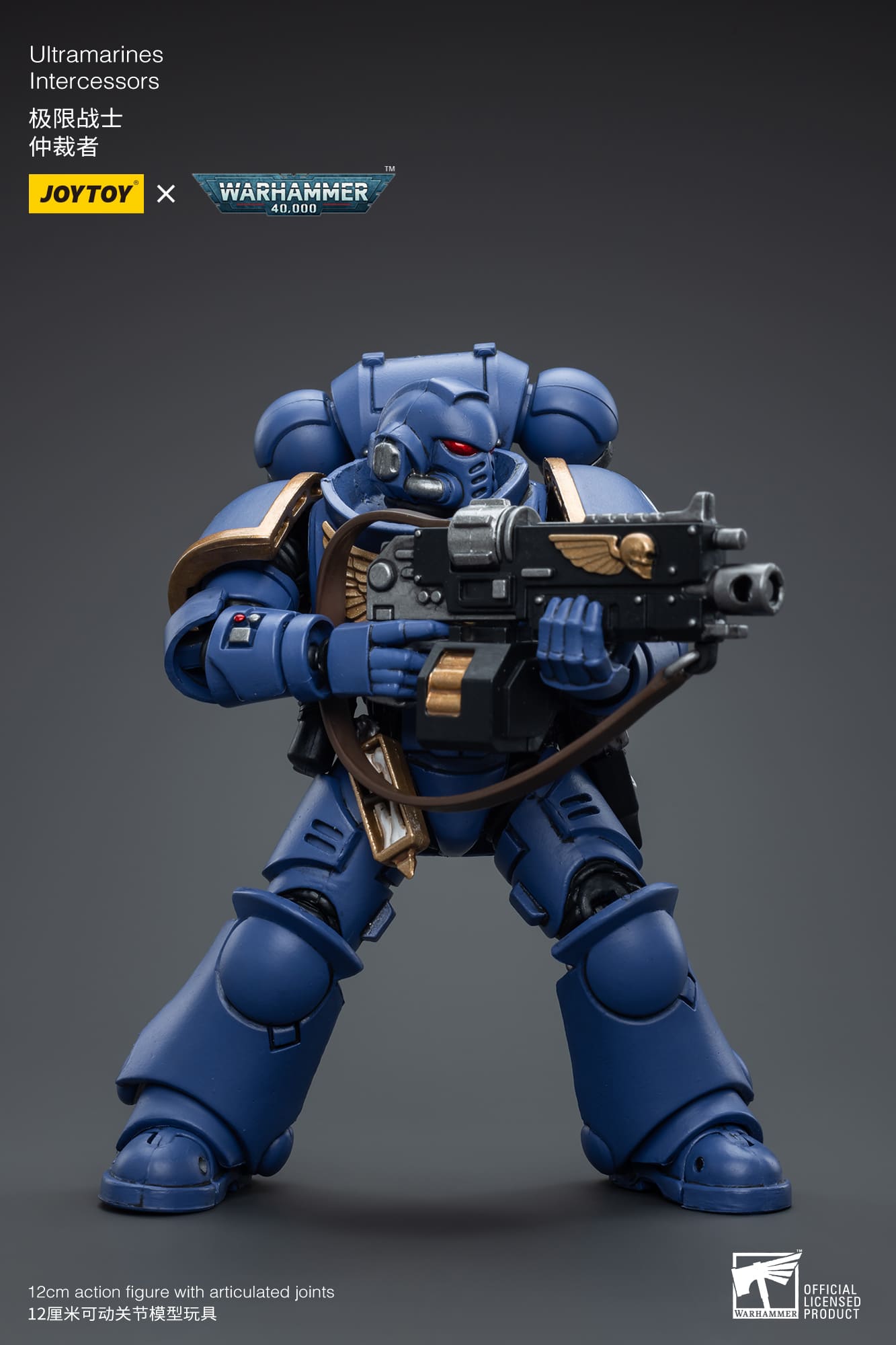 Ultramarines
Intercessors