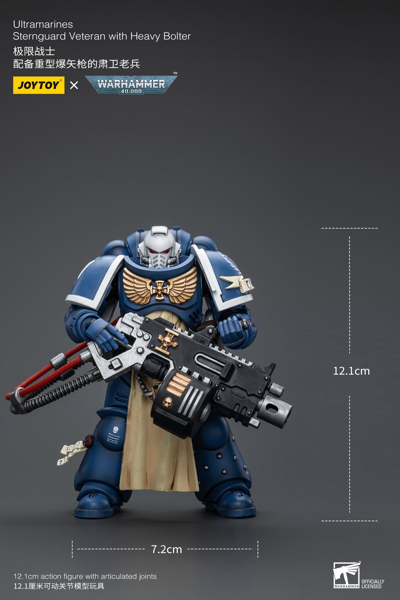 Ultramarines
Sternguard Veteran with Heavy Bolter