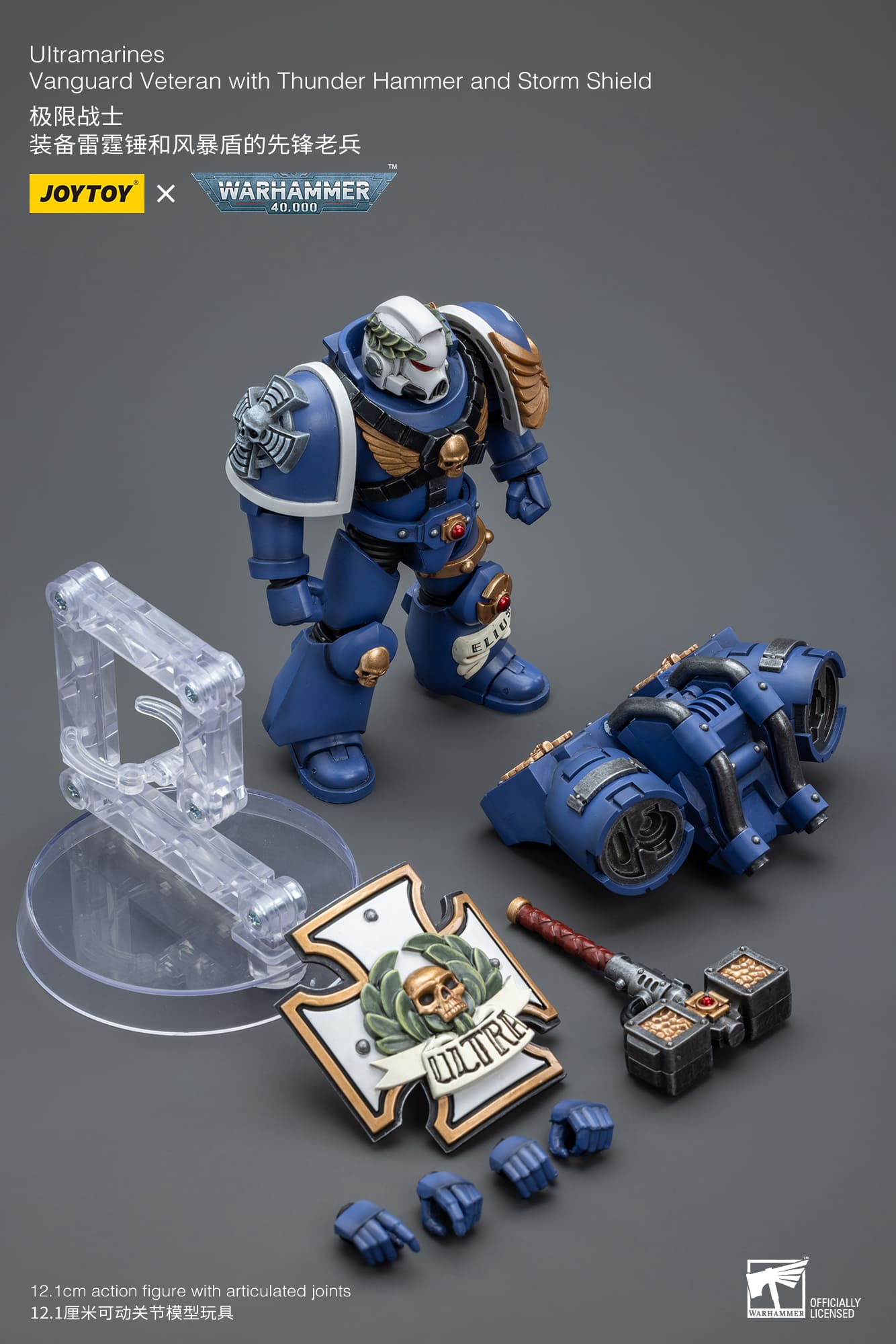 Ultramarines
Vanguard Veteran with Thunder Hammer and Storm Shield