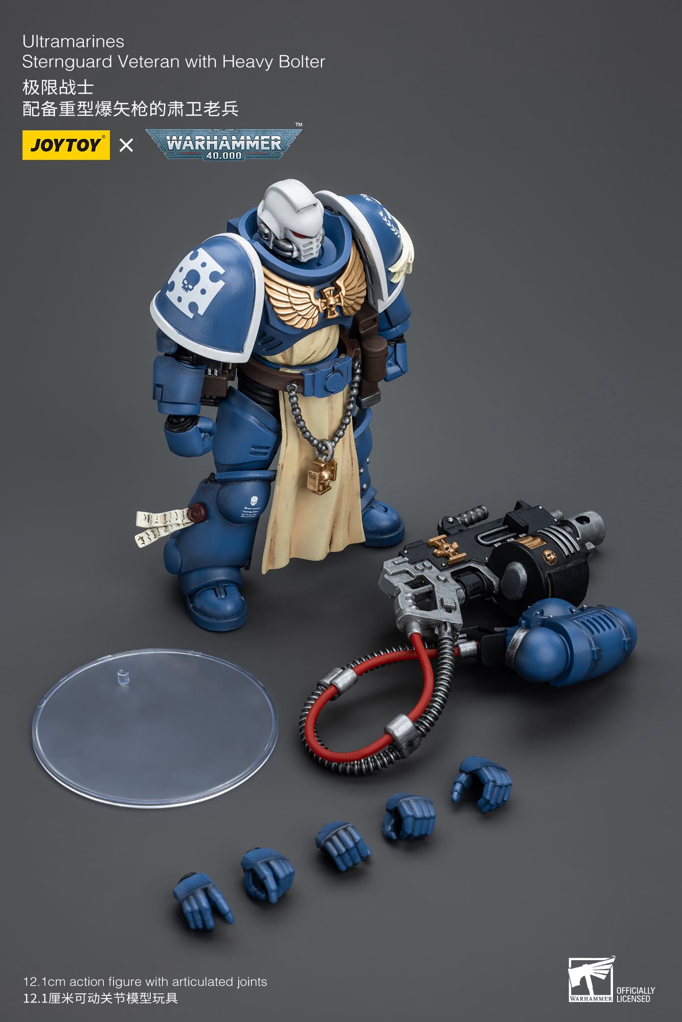 Ultramarines
Sternguard Veteran with Heavy Bolter