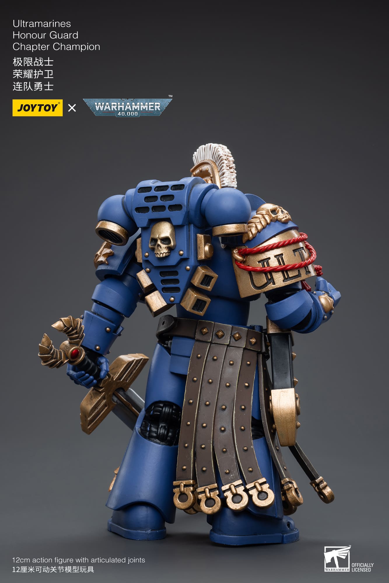 Ultramarines
Honour Guard
Chapter Champion